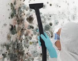 Best Residential Mold Inspection & Testing  in Gloucester, MA